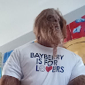 Meet your Posher, Sket